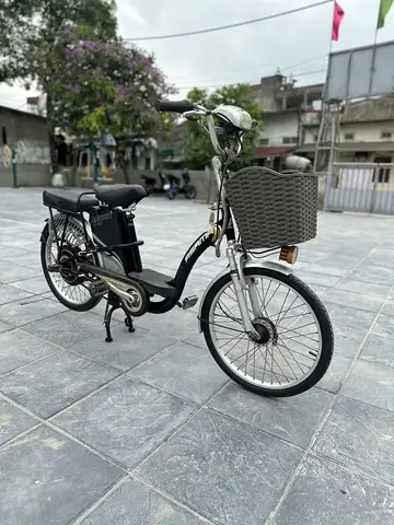 Xe Đạp Điện Cũ: Giá Tốt, Mẫu Mã Đa Dạng & Kinh Nghiệm Mua Bán