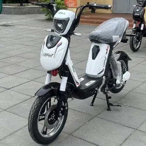 Xe Đạp Điện Pega: Giá Tốt, Mẫu Mã Đẹp, Thông Số Chi Tiết & Kinh Nghiệm Chọn Mua