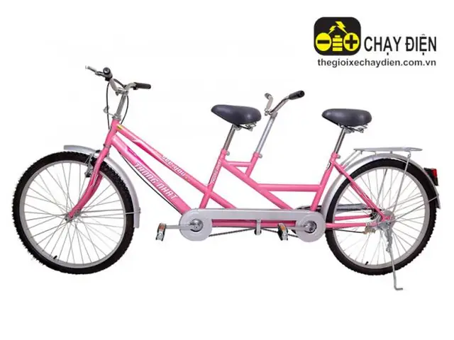 Giá Xe Đạp Đôi Thống Nhất 26 Inch Cho Cặp Đôi: Thông Số Và Nơi Mua
