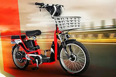 Giá Xe Đạp Martin Trẻ Em Bao Nhiêu? Các Mẫu Và Cách Chọn Theo Tuổi