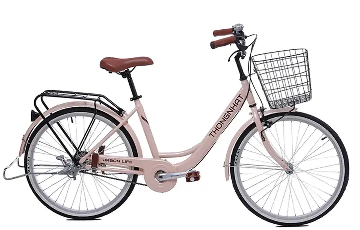 Xe Đạp Thống Nhất Nữ: Mẫu Mã, Giá Cả & Kinh Nghiệm Chọn Mua Tốt Nhất