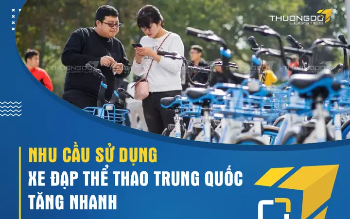 Giá Xe Đạp Trung Quốc Bao Nhiêu? Các Loại Phổ Biến Và Cách Mua Giá Rẻ