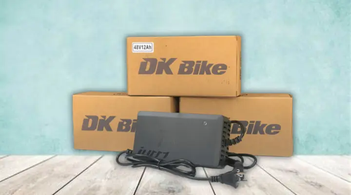 Hướng Dẫn Chi Tiết Cách Đi Xe Đạp Điện An Toàn Cho Người Mới Bắt Đầu