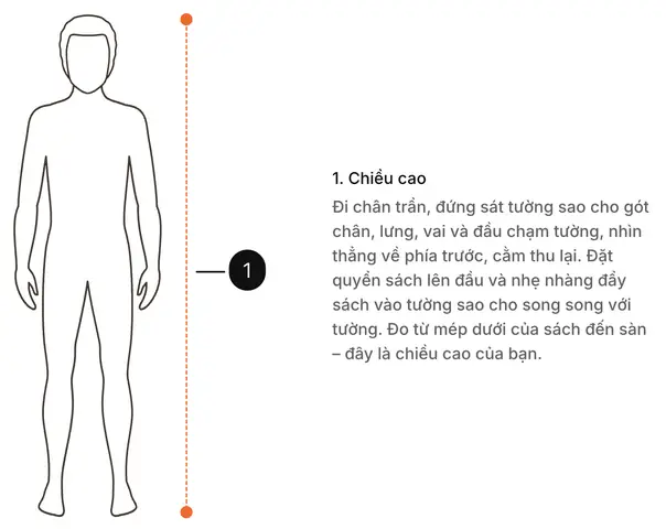 Chọn Kích Thước Khung Xe Đạp Theo Chiều Cao: Bảng MTB, Xe Đua Và Trẻ Em