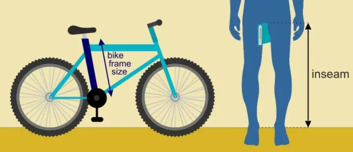 Chọn Kích Thước Khung Xe Đạp Theo Chiều Cao: Bảng MTB, Xe Đua Và Trẻ Em
