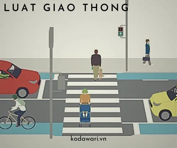 Luật Giao Thông Xe Đạp: Quy Định Mới Nhất, Lỗi Vi Phạm & Mức Phạt Cập Nhật 2025