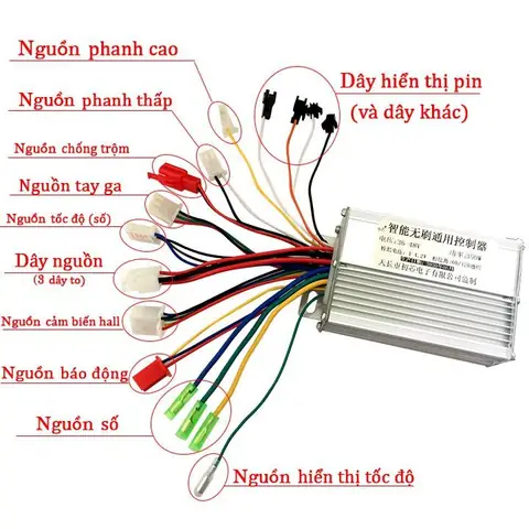 Mạch Điều Tốc Xe Đạp Điện: Cấu Tạo, Nguyên Lý Hoạt Động & Cách Khắc Phục Lỗi