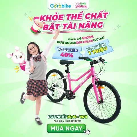 Mang Xe Đạp Lên Máy Bay: Có Được Không? Cách Đóng Gói Và Ký Gửi Chuẩn