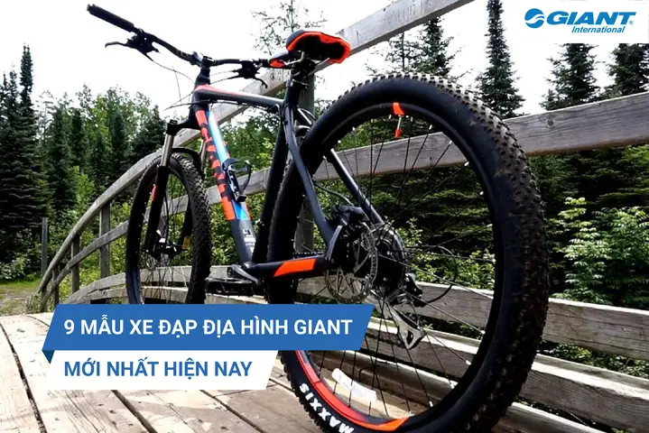 Mẫu Xe Đạp Đẹp Nhất Hiện Nay: Tiêu Chí Chọn, Top Xe & Xu Hướng 2026