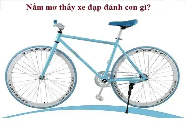 Mơ Thấy Xe Đạp Đánh Con Gì? Giải Mã Điềm Báo Và Con Số May Mắn
