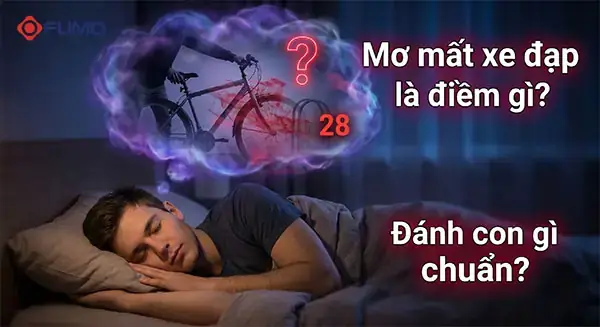 Mơ Thấy Xe Đạp Đánh Con Gì? Giải Mã Điềm Báo Và Con Số May Mắn