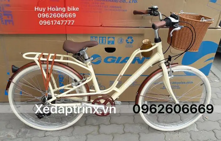 Mua Bán Xe Đạp Cũ Hà Nội: Địa Chỉ, Giá Rẻ & Kinh Nghiệm Chọn Mua