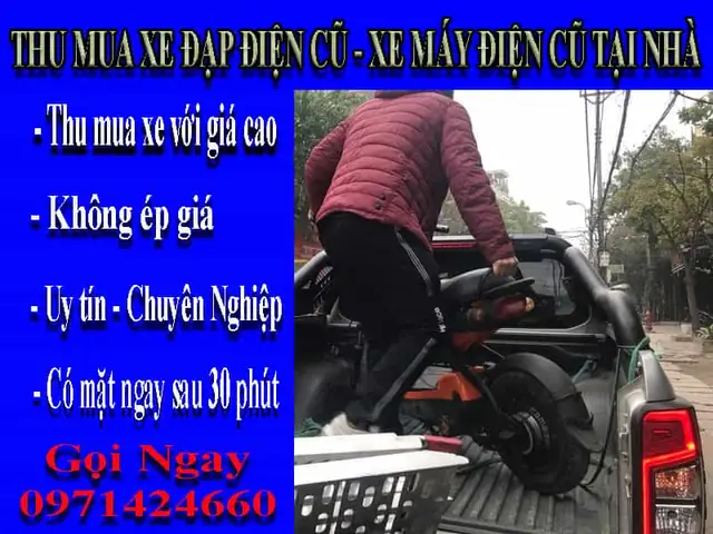 Mua Bán Xe Đạp Cũ Quận Bình Tân: Giá Tốt, Đa Dạng Mẫu Mã & Địa Chỉ Uy Tín