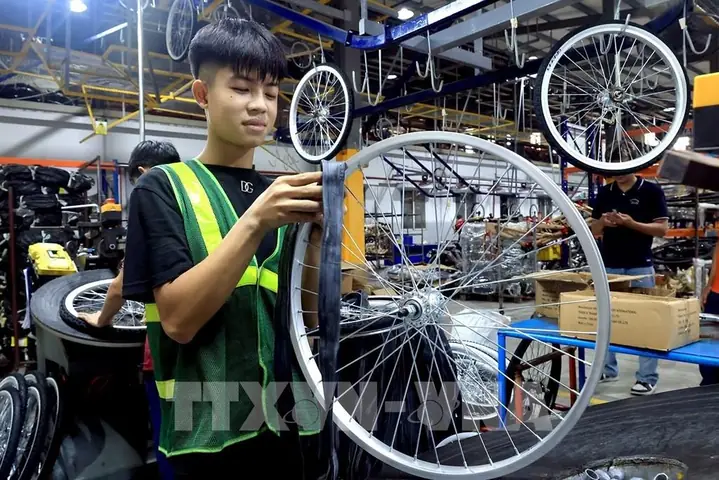 Xe Đạp Thống Nhất: Lịch Sử, Sản Phẩm Và Hành Trình Chuyển Mình Của "quốc Dân"