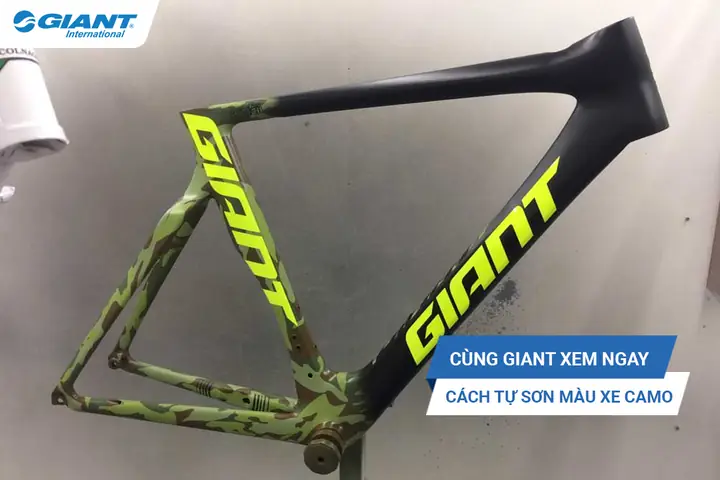 Những Màu Sơn Xe Đạp Đẹp Nhất: Hướng Dẫn Chọn Màu Hợp Phong Thủy & Xu Hướng 2025