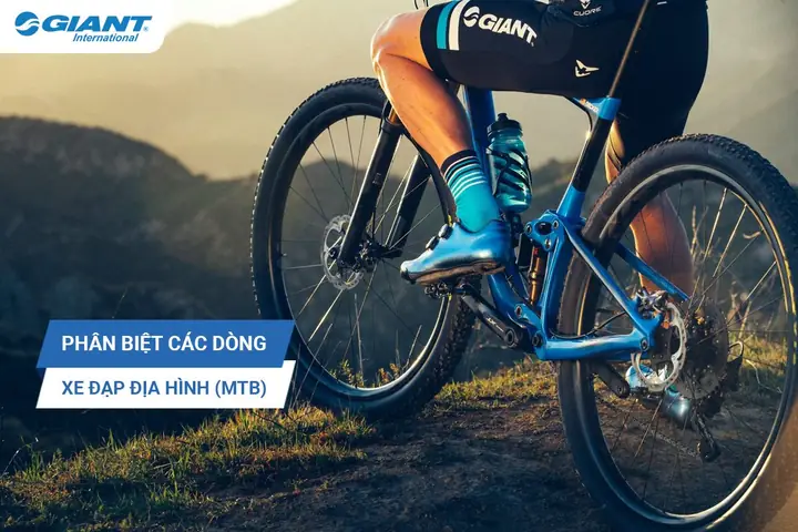 Phân Biệt Các Dòng Xe Đạp Phổ Biến: Hướng Dẫn Chi Tiết Cho Người Mới Bắt Đầu