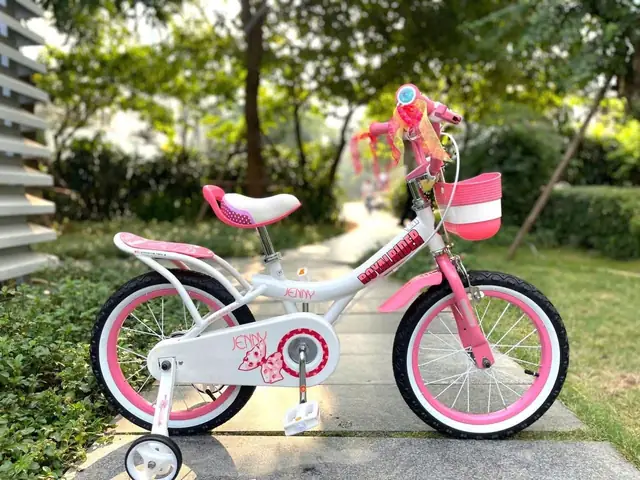 Phụ Kiện Xe Đạp Royal Baby: Hướng Dẫn Chọn Lọc & Mua Sắm Thông Minh