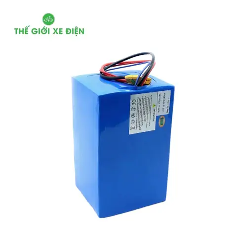 Pin Xe Đạp Điện 48v 20ah: Chọn Mua, Sử Dụng & Bền Lâu Pin Xe Đạp Điện 48v 20ah: Chọn Mua, Sử Dụng & Bền Lâu