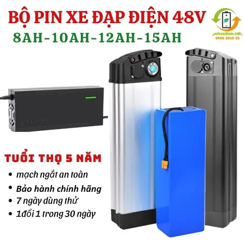 Pin Xe Đạp Điện 48v: Chọn Loại Nào Tốt, Giá Bao Nhiêu & Cách Sử Dụng Bền Bỉ?