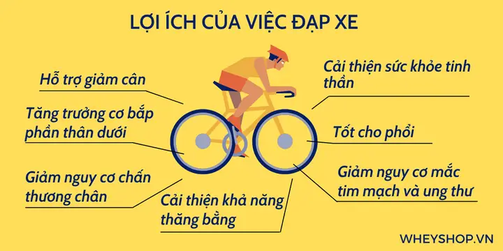 Tác Hại Tiềm Ẩn Khi Đi Xe Đạp: Những Điều Bạn Cần Biết Để An Toàn Hơn