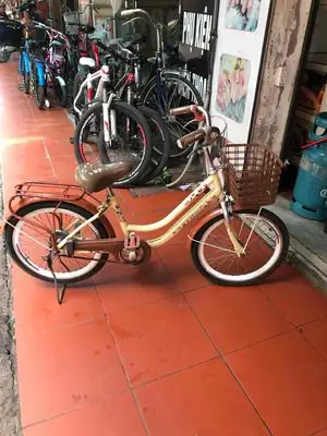 Thanh Lý Xe Đạp Trẻ Em Cũ Giá Rẻ Tại Hải Phòng: Hướng Dẫn Mua Bán Chi Tiết