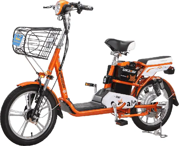 Thế Giới Xe Đạp Điện: Chọn Xe Phù Hợp, Hãng Nào Tốt, Giá Bao Nhiêu?