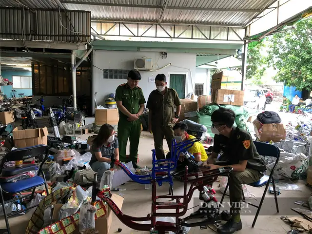 Xe Đạp Asama: Nguồn Gốc, Chất Lượng Và Giá Bán Cập Nhật Mới Nhất