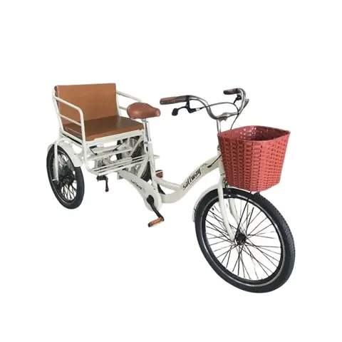 Xe Đạp 3 Bánh Cho Người Già Tại Hà Nội: Hướng Dẫn Chọn Mua & Địa Chỉ Uy Tín