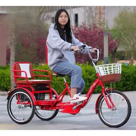 Xe Đạp 3 Bánh Cho Người Già Tại Hà Nội: Hướng Dẫn Chọn Mua & Địa Chỉ Uy Tín