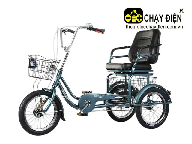 Xe Đạp 3 Bánh Cho Người Già Tại Hà Nội: Hướng Dẫn Chọn Mua & Địa Chỉ Uy Tín