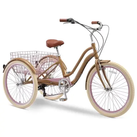 Xe Đạp 3 Bánh Cho Người Lớn: Hướng Dẫn Chọn Mua & Sử Dụng Chi Tiết