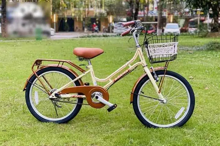 Xe Đạp Asama: Nguồn Gốc, Chất Lượng Và Đánh Giá Chi Tiết