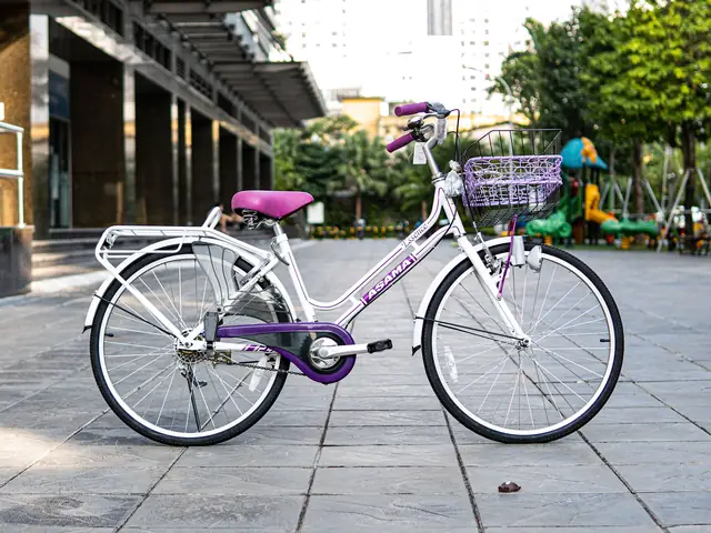 Xe Đạp Asama: Nguồn Gốc, Chất Lượng Và Đánh Giá Chi Tiết