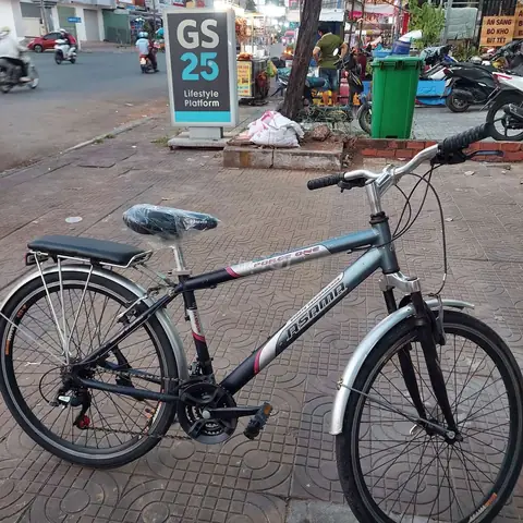 Xe Đạp Asama Nữ Cũ: Hướng Dẫn Mua Bán, Chọn Lựa & Giá Tốt 2026