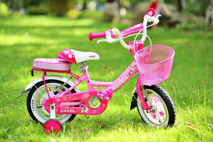 Xe Đạp Cho Bé 2 Tuổi Tại Hà Nội: Hướng Dẫn Chọn Mua Xe An Toàn, Giá Tốt