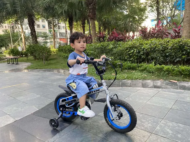 Xe Đạp Cho Bé 2 Tuổi Tại Hà Nội: Hướng Dẫn Chọn Mua Xe An Toàn, Giá Tốt