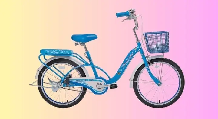 Chọn Xe Đạp Cho Bé Gái 8-10 Tuổi: Tiêu Chí, Mẫu Mã Và Lưu Ý An Toàn