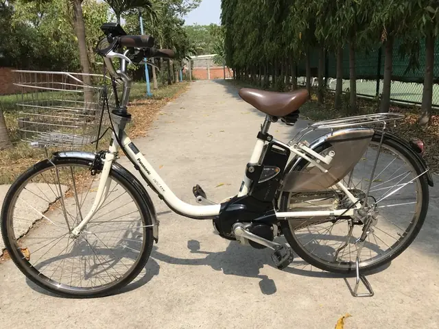Xe Đạp Điện 2 Bình: Thông Số, Quãng Đường & Lựa Chọn Tốt Nhất 2025