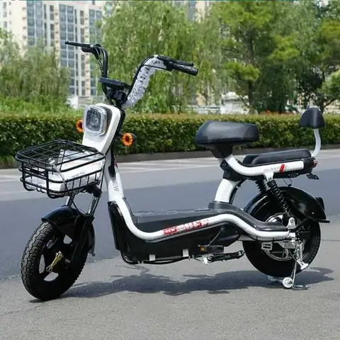 Xe Đạp Điện 6 Triệu: Top Mẫu Đáng Mua Nhất & Lưu Ý Chọn Xe