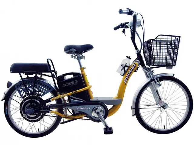 Xe Đạp Điện 8 Triệu: Mẫu Nào Tốt, Mua Ở Đâu Uy Tín Năm 2024?