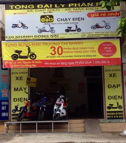 Xe Đạp Điện Biên Hòa Đồng Nai: Mua Ở Đâu Uy Tín, Giá Tốt, Giao Tận Nơi?