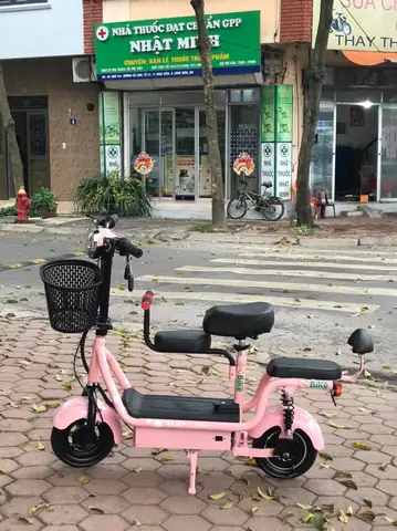 Xe Đạp Điện Chở Em Bé: Chọn Xe Phù Hợp, Đảm Bảo An Toàn Cho Mẹ Và Con