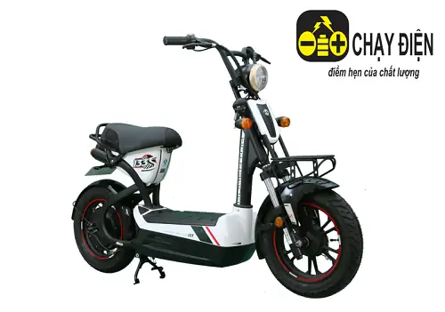 Mua Bán Xe Đạp Điện Cũ Tphcm: Hướng Dẫn Chọn Mua & Bảng Giá Chi Tiết
