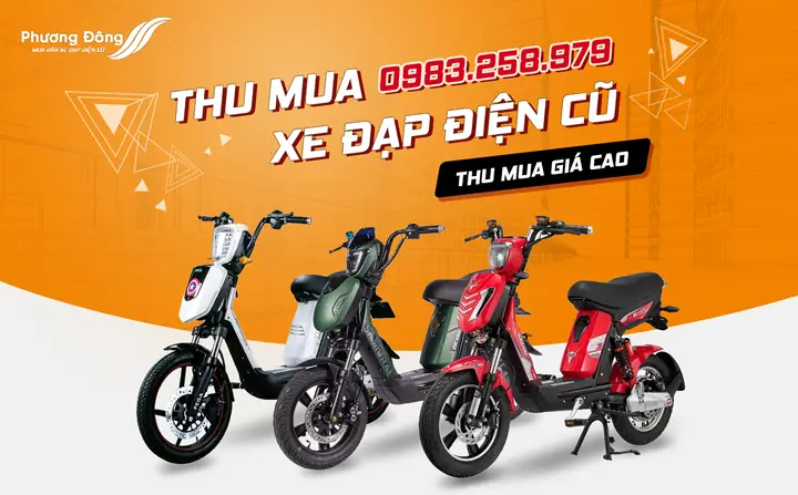 Mua Bán Xe Đạp Điện Cũ Tphcm: Hướng Dẫn Chọn Mua & Bảng Giá Chi Tiết