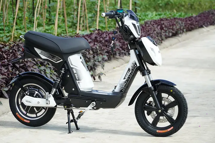 Xe Đạp Điện Nhật Bản Giá Bao Nhiêu? Cập Nhật Mới Nhất 2024