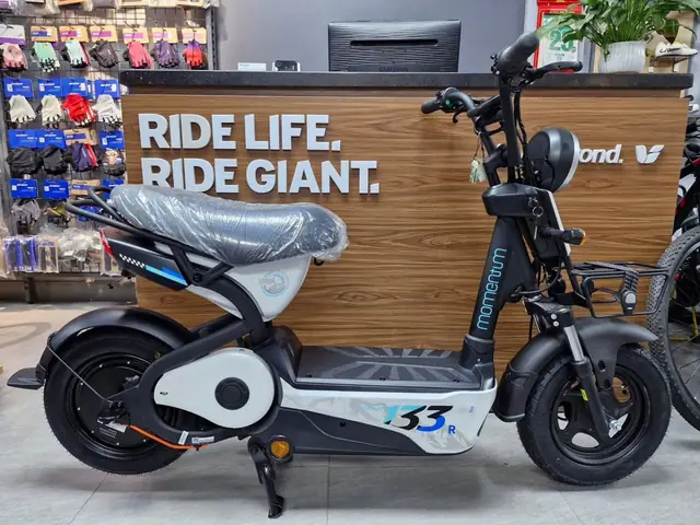 Xe Đạp Điện Giant Momentum: Đánh Giá Chi Tiết, Mẫu Mã, Giá Bán & Kinh Nghiệm Chọn Mua