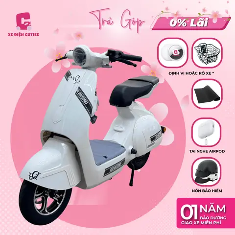 Xe Đạp Điện Kiểu Vespa: Mẫu Mã, Giá Cả Và Kinh Nghiệm Chọn Mua