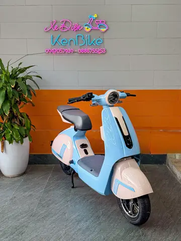 Xe Đạp Điện Kiểu Vespa: Mẫu Mã, Giá Cả Và Kinh Nghiệm Chọn Mua
