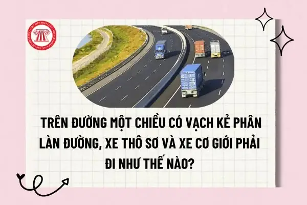 Xe Đạp Điện Là Xe Thô Sơ Hay Cơ Giới? Quy Định Pháp Luật Cần Biết