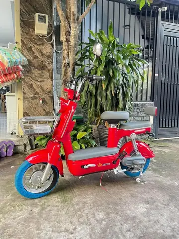 Top Xe Đạp Điện Màu Đỏ: Mẫu Mã, Giá Bán & Lưu Ý Chọn Mua